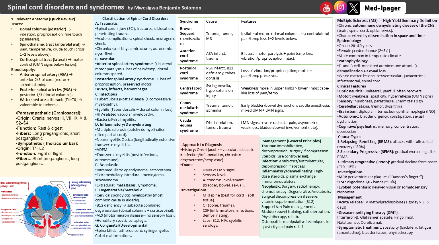 Spinal cord disorders one-page medical summary