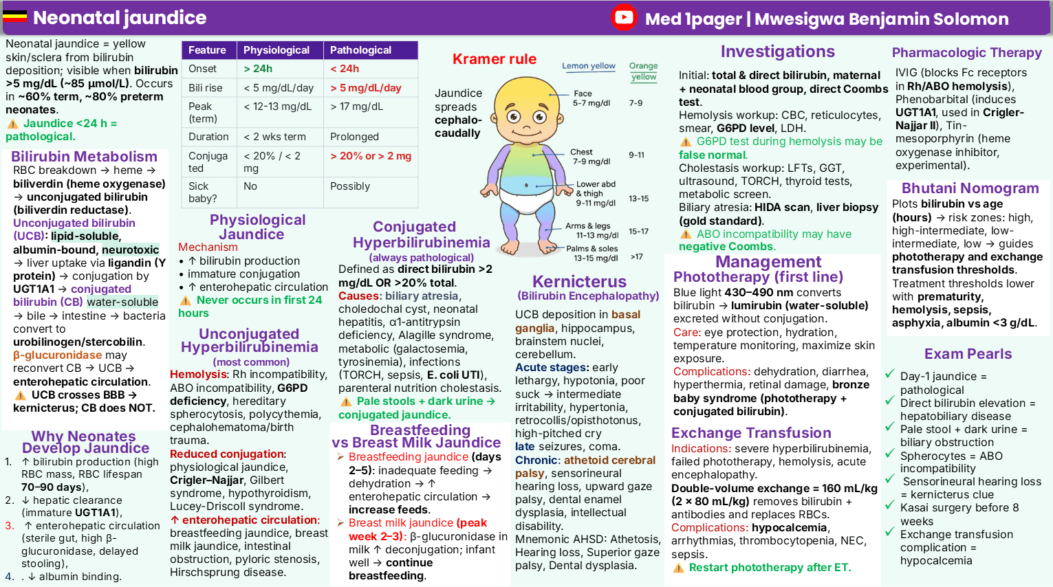 Neonatal jaundice one-page medical summary