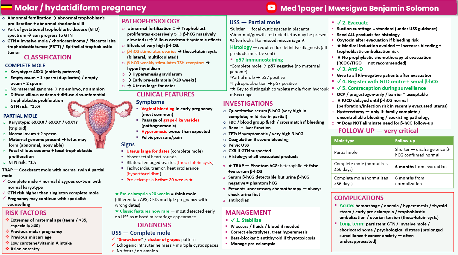 Molar Pregnancy summary preview